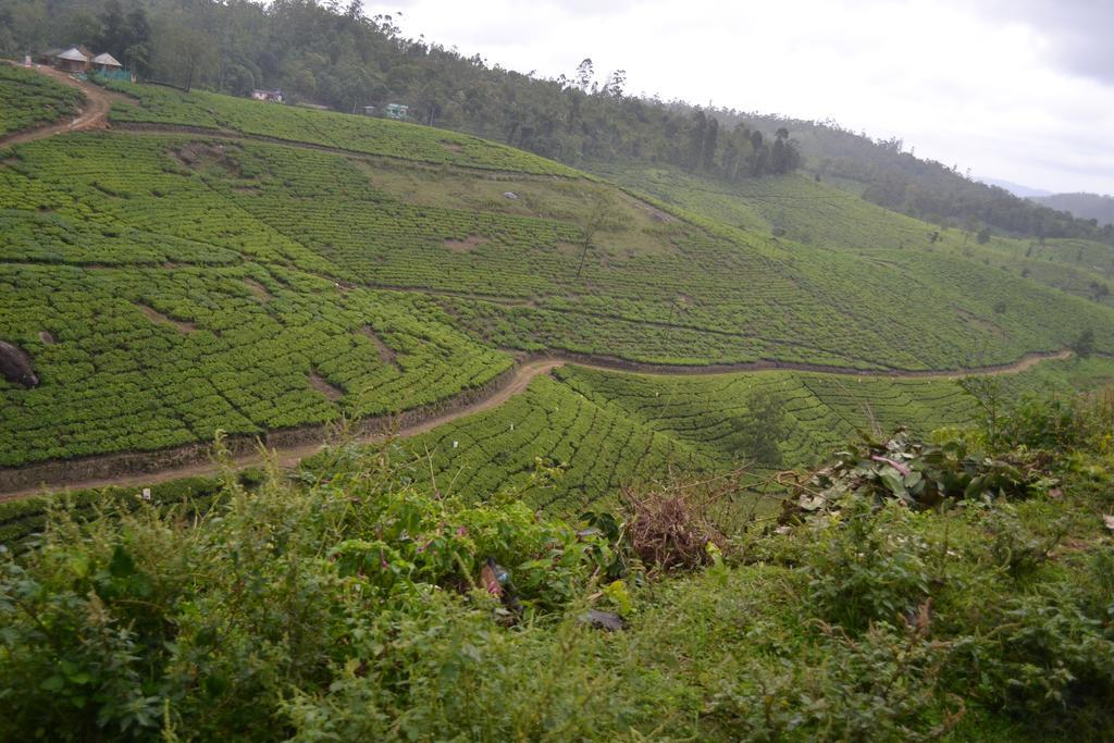 Ferndale Homestay Thekkady Buitenkant foto