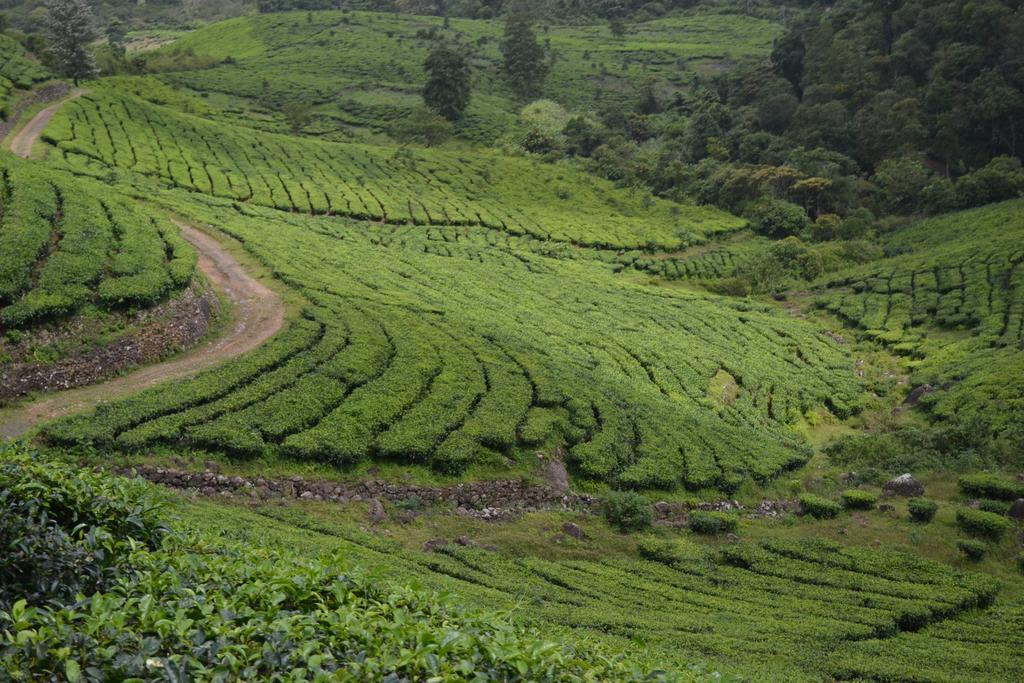 Ferndale Homestay Thekkady Buitenkant foto