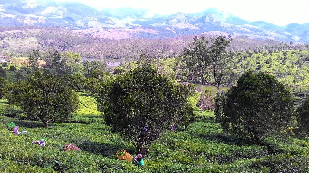 Ferndale Homestay Thekkady Buitenkant foto