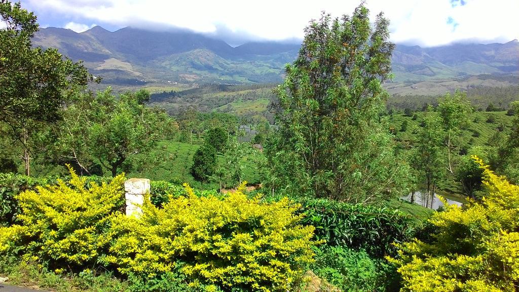 Ferndale Homestay Thekkady Buitenkant foto
