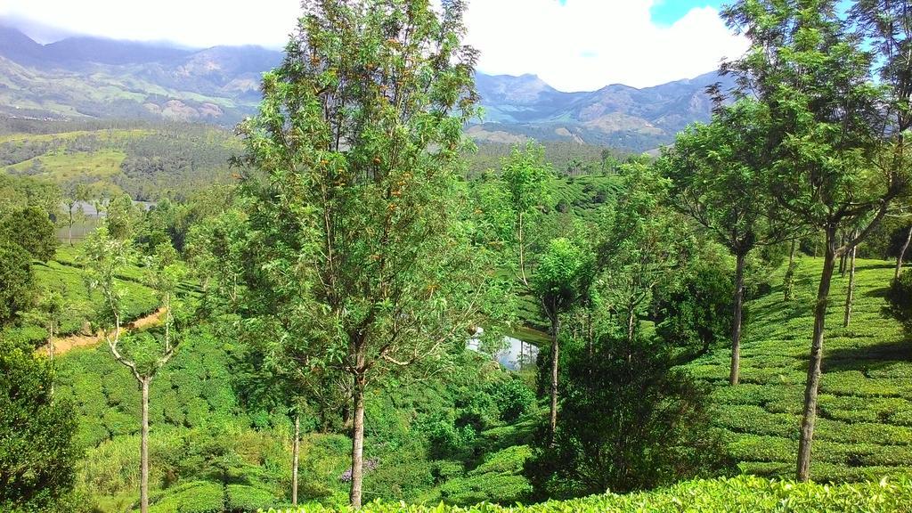 Ferndale Homestay Thekkady Buitenkant foto