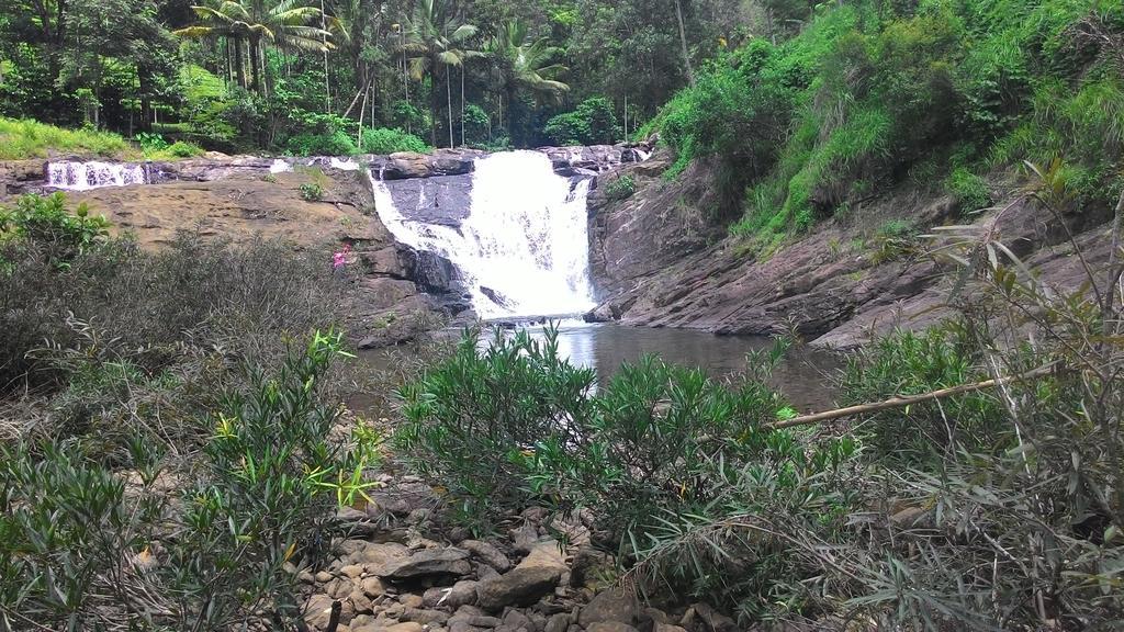 Ferndale Homestay Thekkady Buitenkant foto