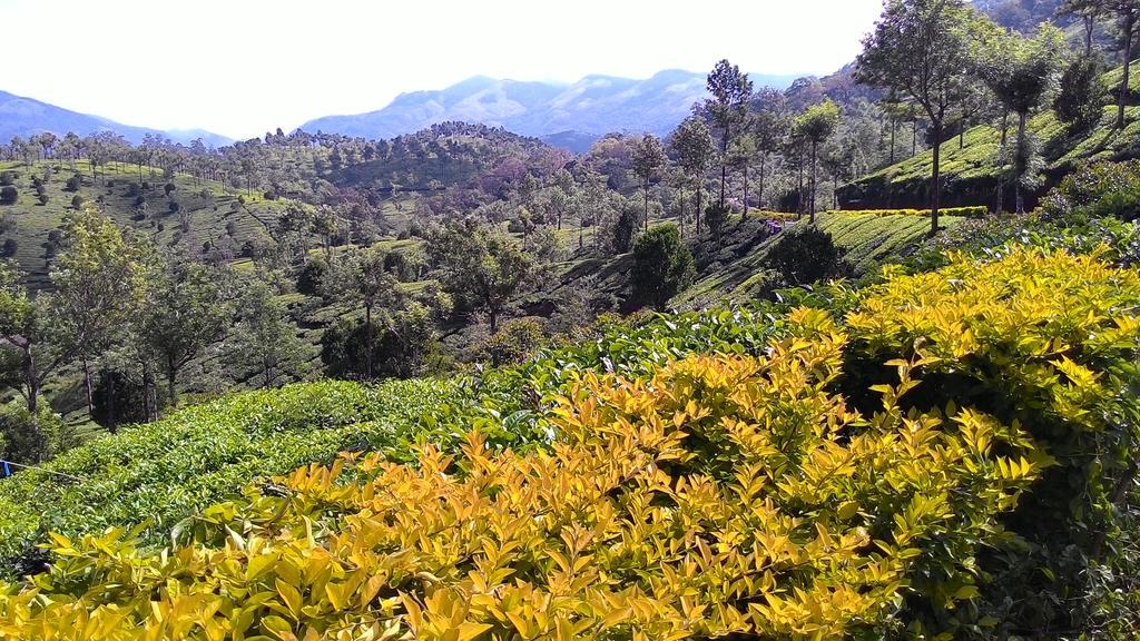 Ferndale Homestay Thekkady Buitenkant foto
