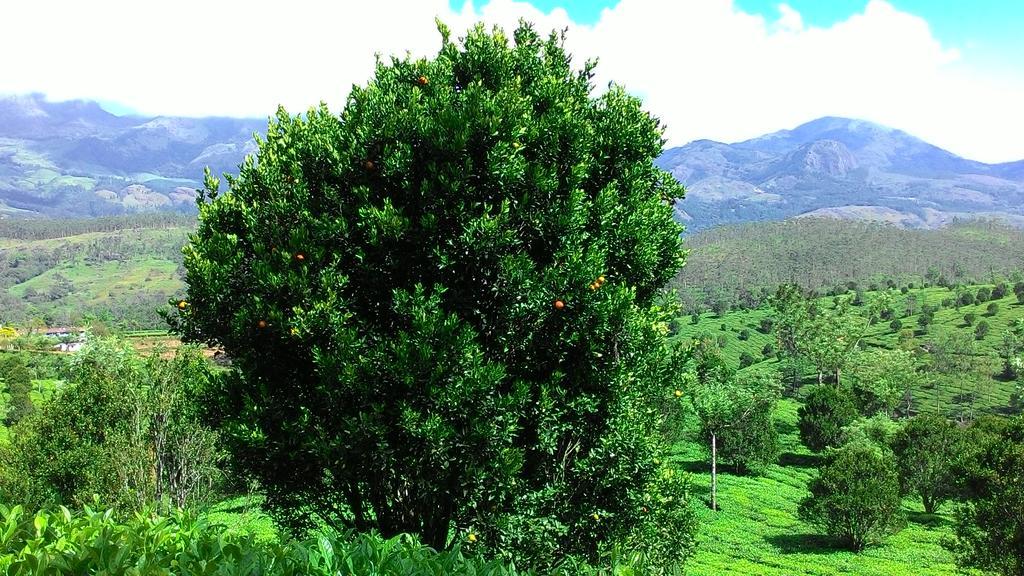 Ferndale Homestay Thekkady Buitenkant foto