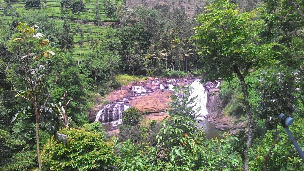 Ferndale Homestay Thekkady Buitenkant foto